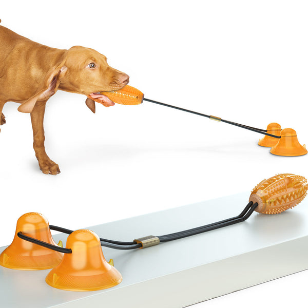 Double Tug Rope Ball Dog Toy with Suction Cup